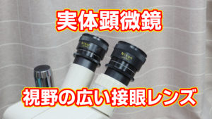 実体顕微鏡 視野の広い接眼レンズ